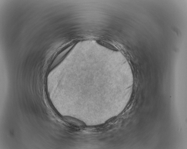 X0000111390097200908211410