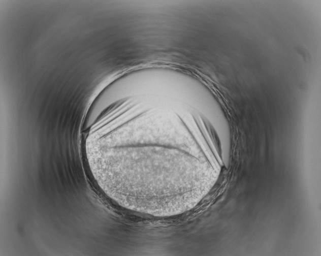 X0000111390100200908211410