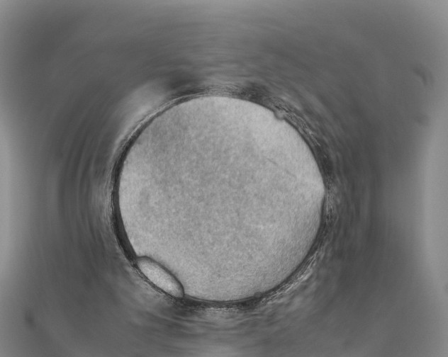X0000111390101200908211410