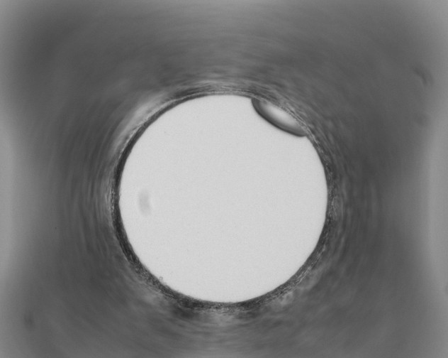 X0000111390103200908211410