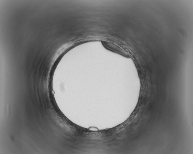 X0000111390104200908211410