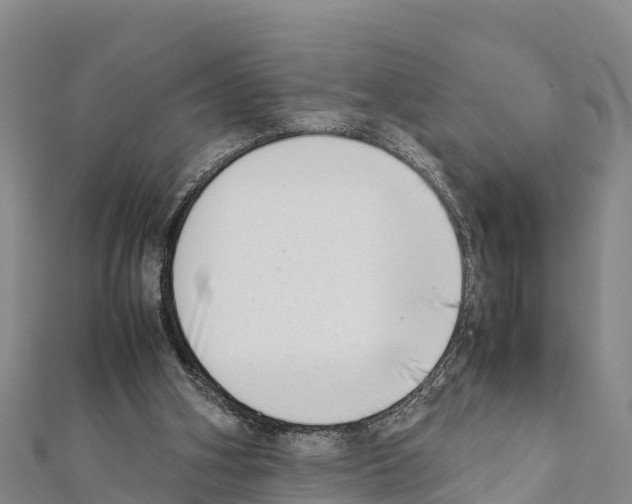 X0000111390106200908211410
