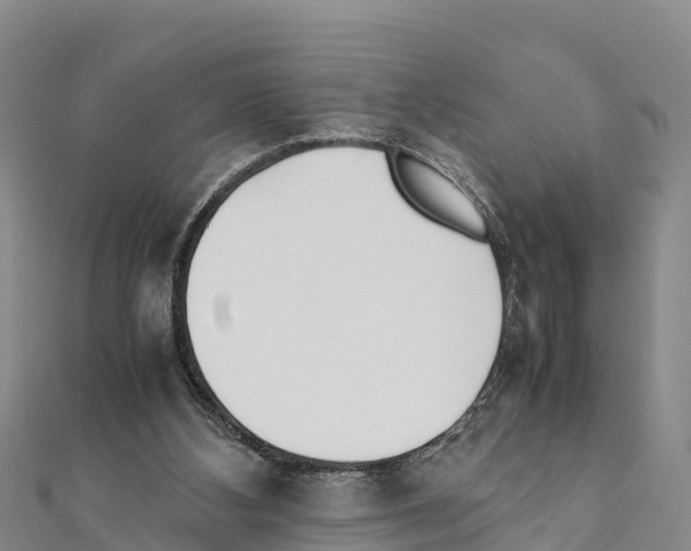 X0000111390108200908211410