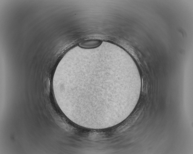 X0000111390109200908211410