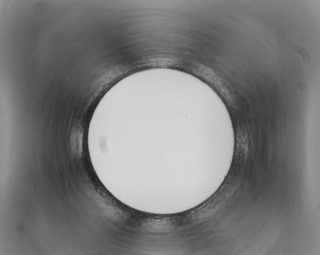 X0000111390110200908211410
