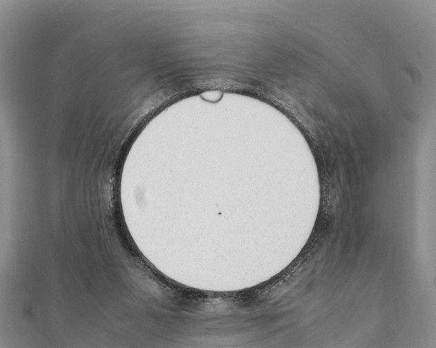 X0000111390111200908211410