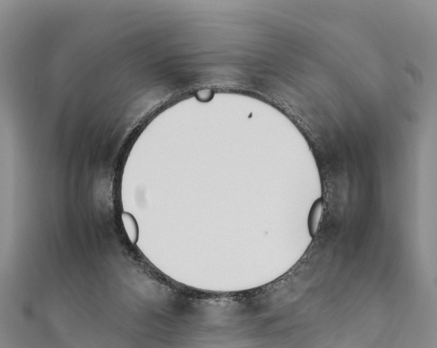 X0000111390112200908211410