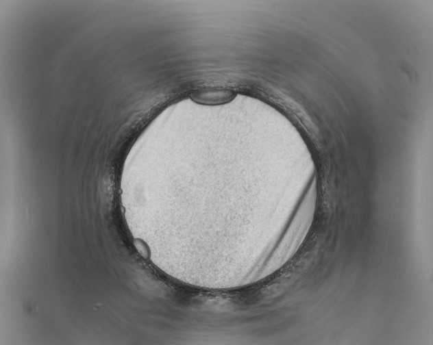 X0000111390113200908211410
