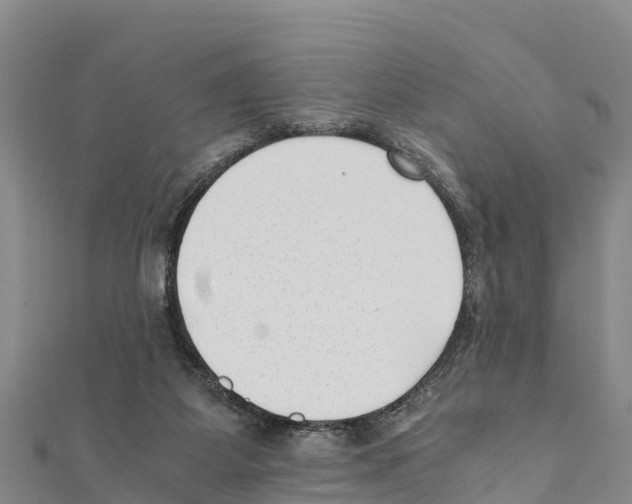 X0000111390115200908211410