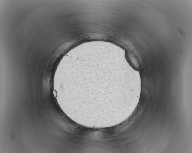 X0000111390116200908211410