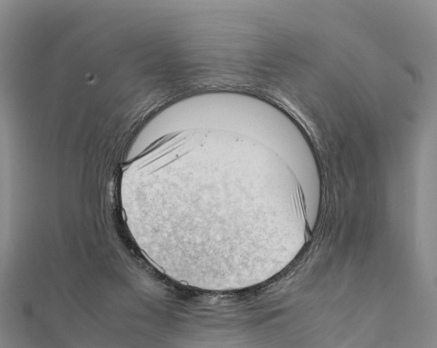 X0000111390117200908211410