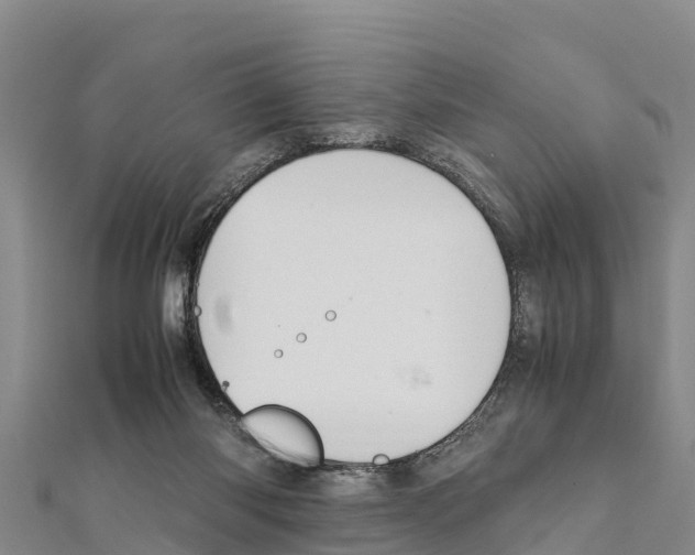 X0000111390118200908211410