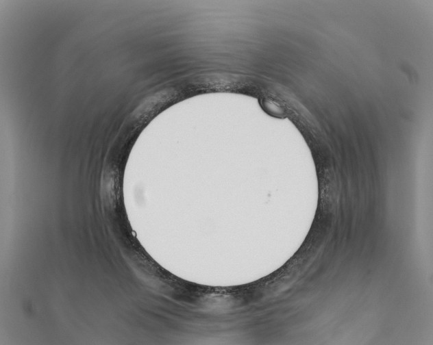 X0000111390119200908211410