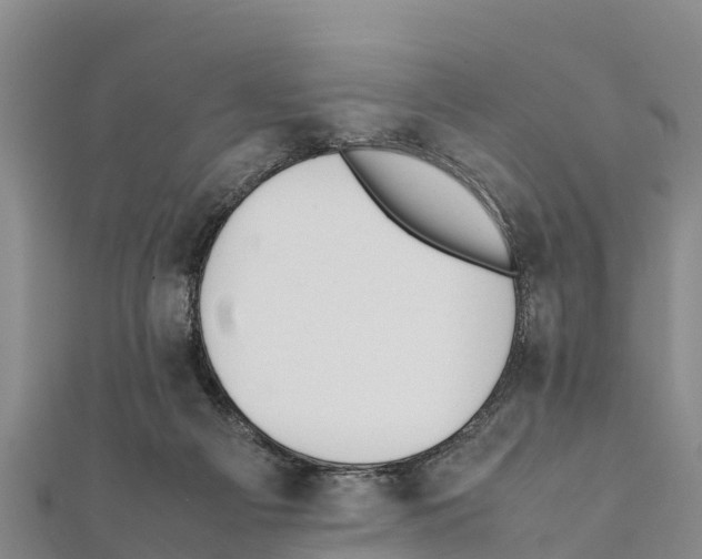 X0000111390121200908211410