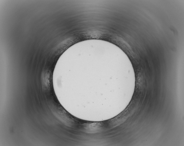 X0000111390122200908211410