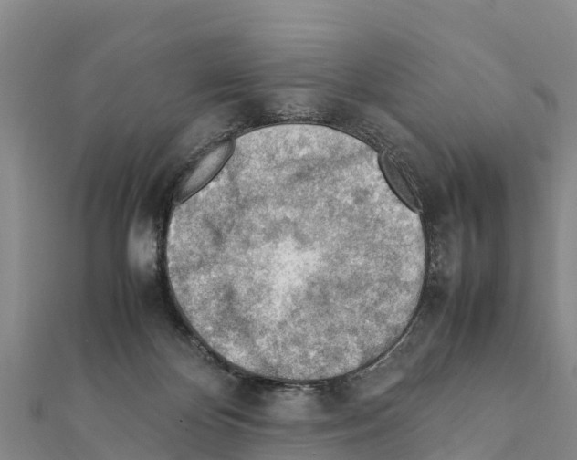 X0000111390124200908211410