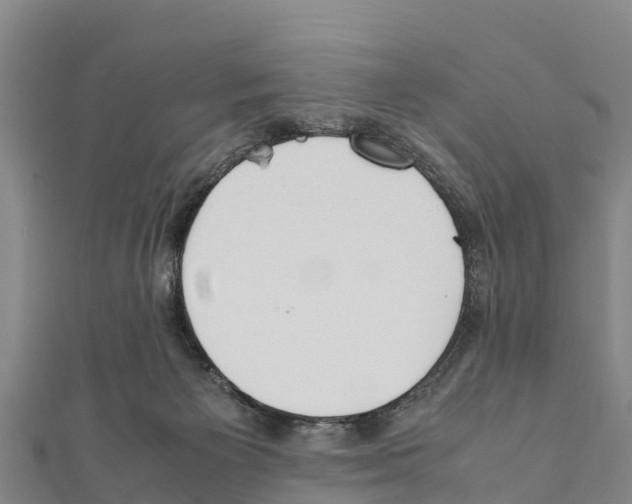 X0000111390125200908211410