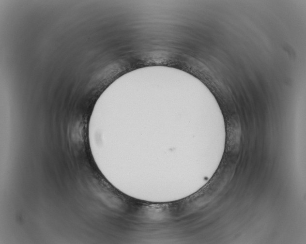 X0000111390126200908211410