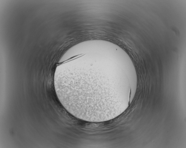 X0000111390129200908211410