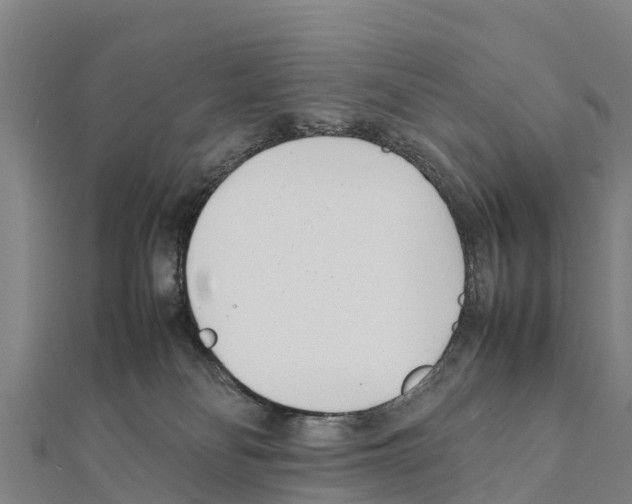 X0000111390134200908211410