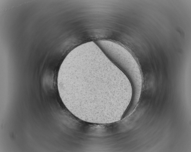 X0000111390140200908211410