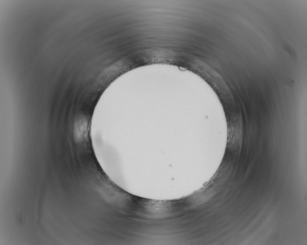 X0000111390142200908211410