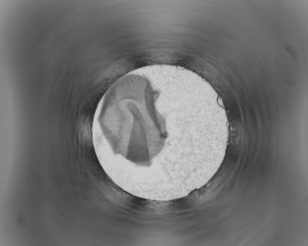 X0000111390143200908211410