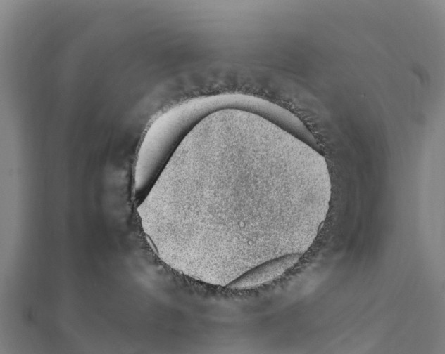 X0000111390144200908211410