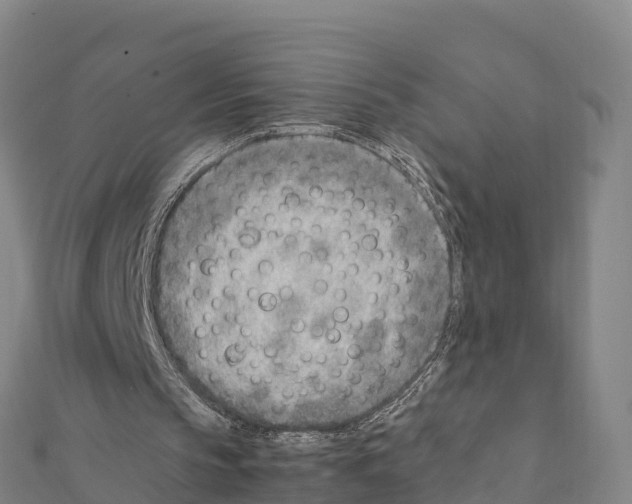 X0000111390145200908211409