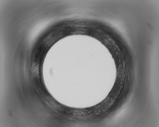 X0000111390146200908211409