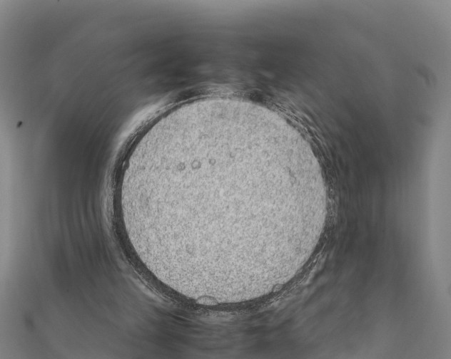 X0000111390149200908211409