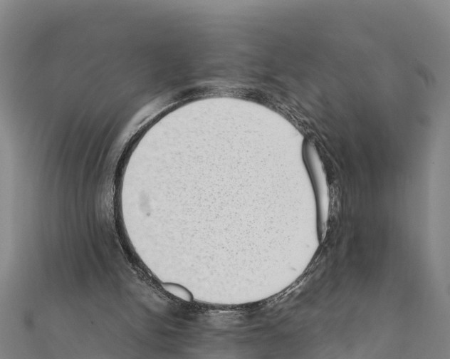 X0000111390150200908211409