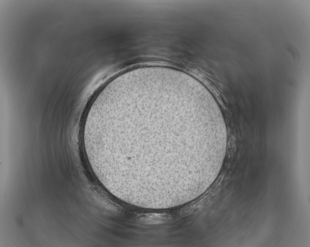 X0000111390151200908211409