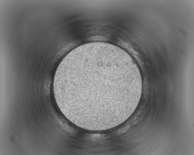 X0000111390153200908211409