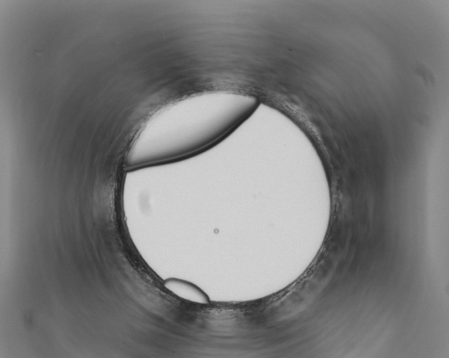 X0000111390154200908211409