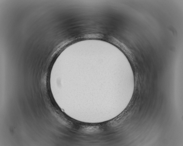 X0000111390155200908211409