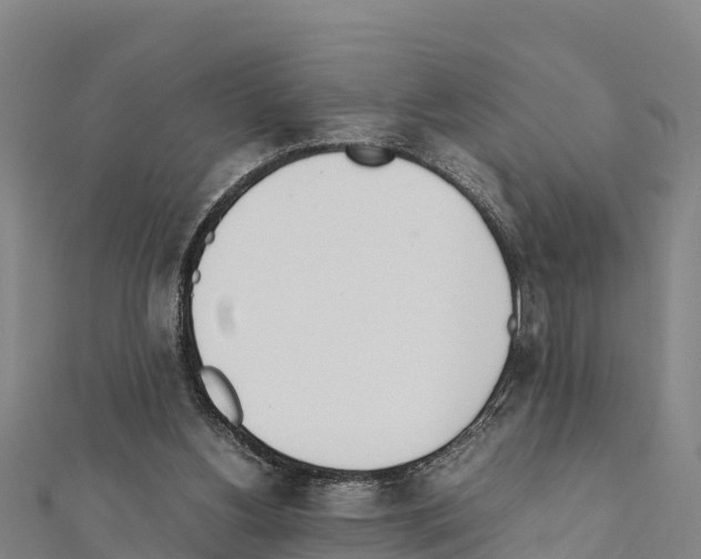 X0000111390156200908211409