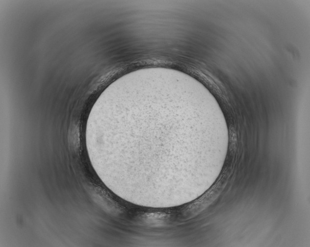 X0000111390158200908211409