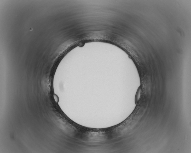 X0000111390160200908211409