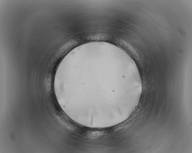 X0000111390163200908211409