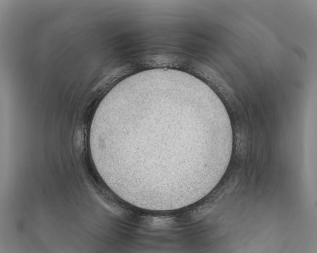 X0000111390165200908211409