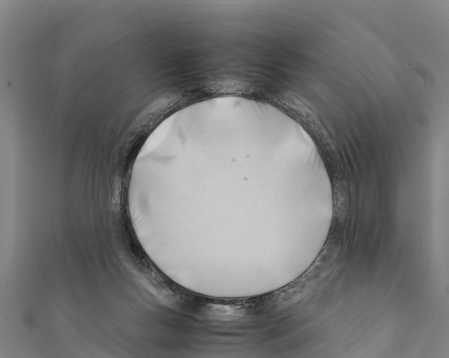 X0000111390167200908211409