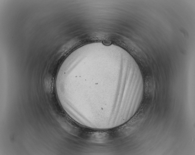 X0000111390168200908211409