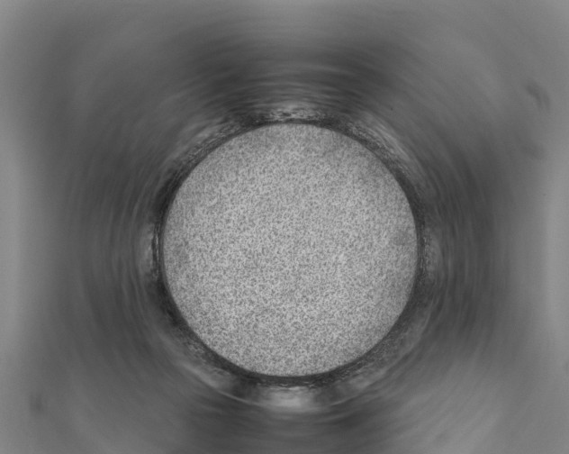 X0000111390169200908211409