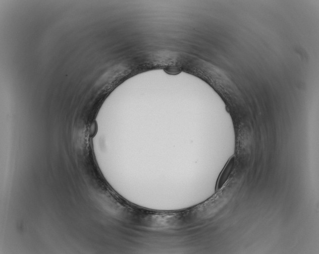 X0000111390172200908211409