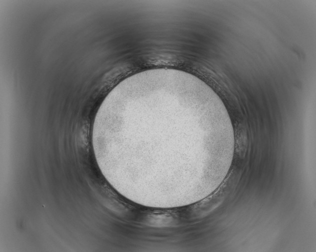 X0000111390175200908211409