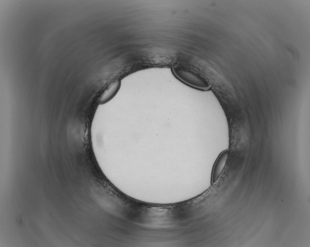 X0000111390176200908211410