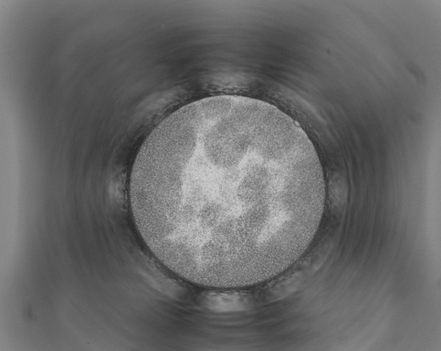 X0000111390181200908211410