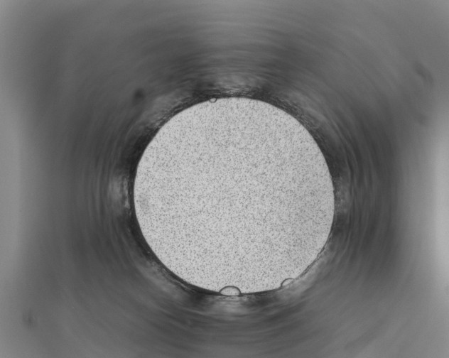 X0000111390182200908211410