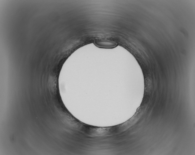 X0000111390184200908211410